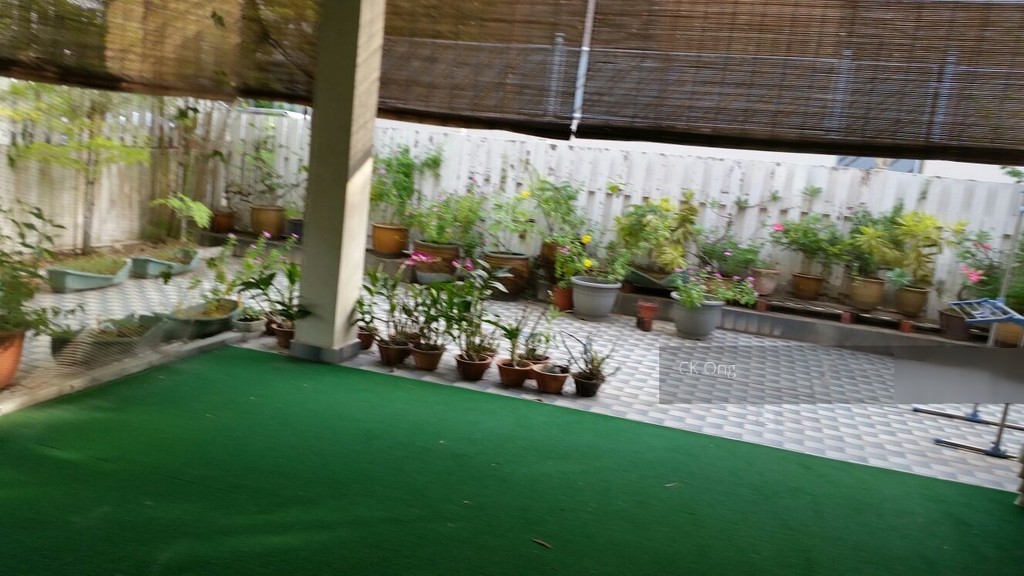 WEST COAST GROVE (D5), Terrace #119000322